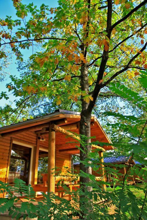 Albirondack Camping Lodge & Spa חדר תמונה
